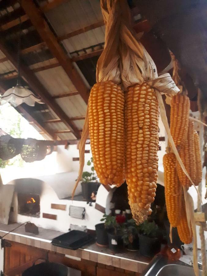 Pensiunea Casa Godja Văleni Exteriér fotografie